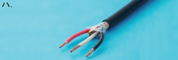 選択肢ハ