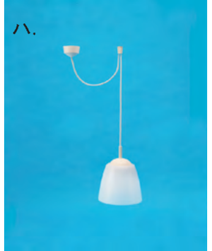 選択肢ハ