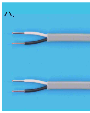 選択肢ハ