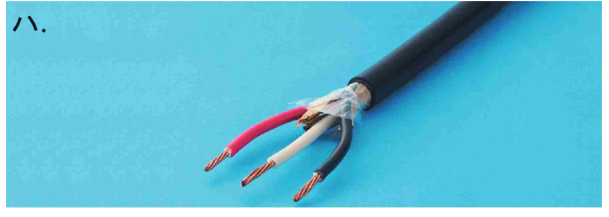 選択肢ハ
