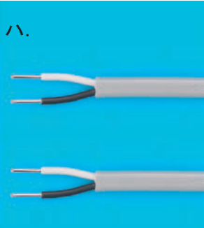 選択肢ハ