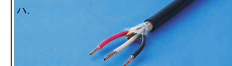 選択肢ハ